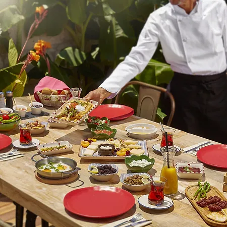 Alakapi & * 阿拉恰特