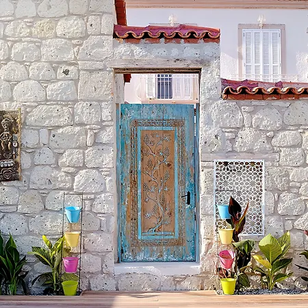 Alakapi & וילה *